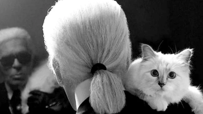 1 karl lagerfeld jpg jpeg