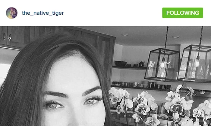 megan fox jpeg