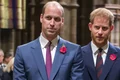 printul william si printul harry 0 jpeg
