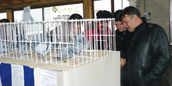 Porumbeii campioni, premiaţi la Târgu-Jiu