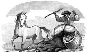 Calul lui Esop jpeg