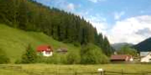 Peisaj în zona Moieciu de Sus