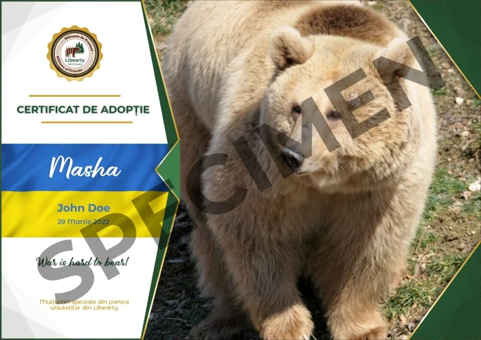 Masha e liberă la adopţie FOTO Asociaţia Milioane de Prieteni