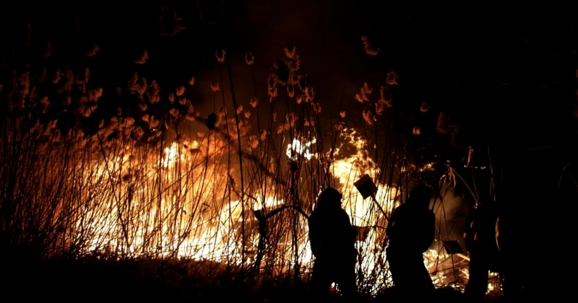 Incendiu în Delta Văcăreşti din Capitală FOTO Inquam Photos Octav Ganea