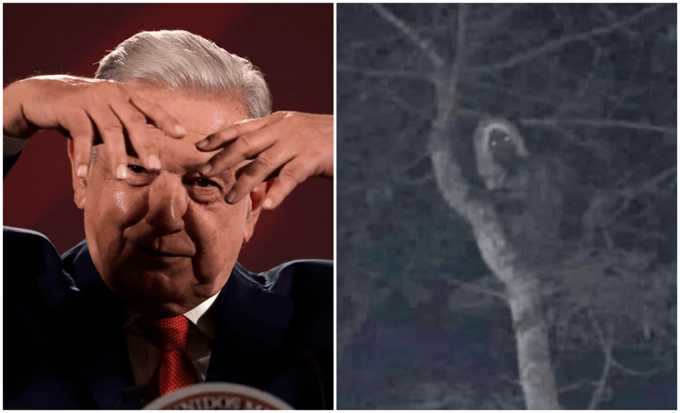 Președintele Mexicului susține că are dovada existenței unui elf