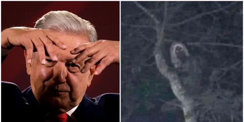 Președintele Mexicului susține că are dovada existenței unui elf