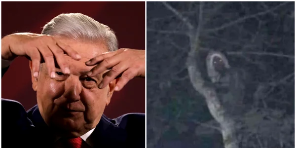 Președintele Mexicului susține că are dovada existenței unui elf