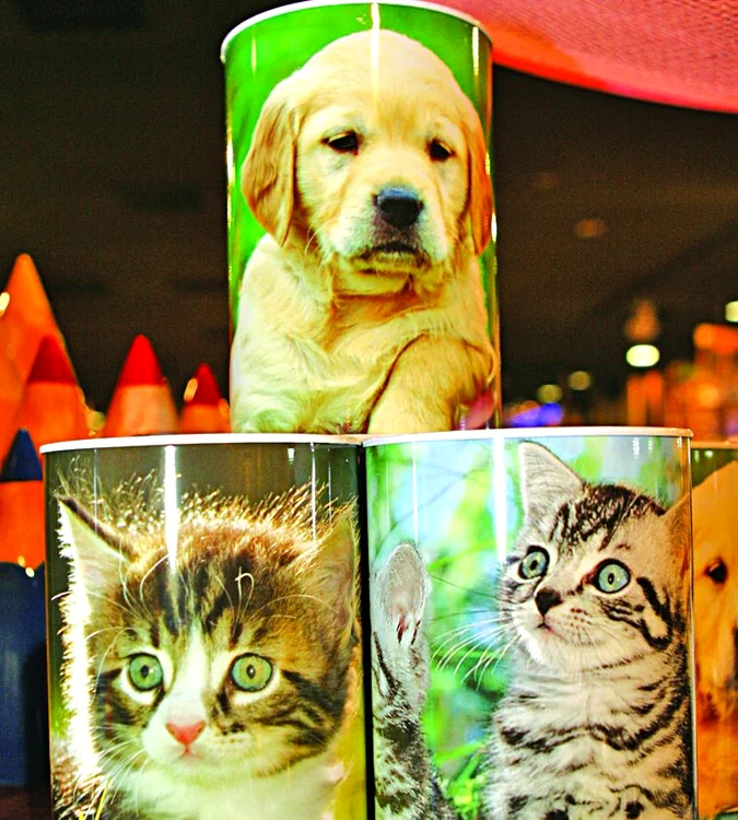 Puşculiţă de metal