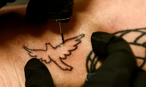 tatuaj cenusa jpg