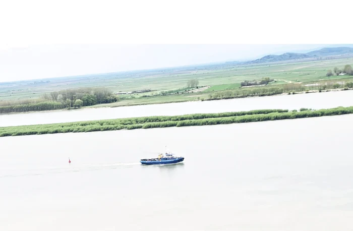 A înverzit insula din mijlocul Dunării FOTO: Petru Tudorache