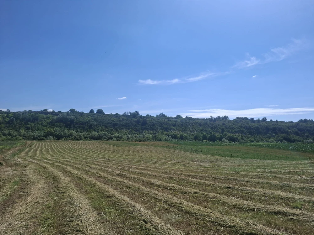 Fanete întinse