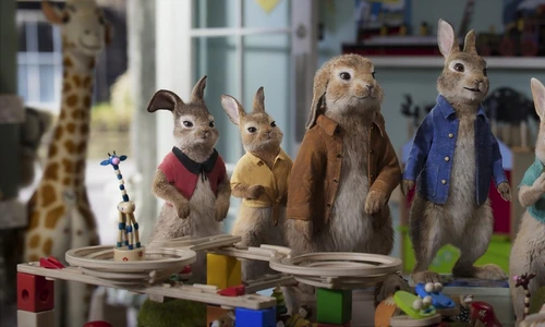 film iepuras profimedia 0591390262 jpg