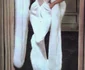 3 jayne mansfield 4 jpg jpeg
