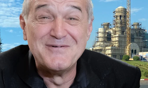 cub gigi becali png