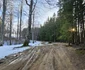 Poiana Omului Ianuarie 2024 Foto Daniel Guță ADEVĂRUL (6) jpg