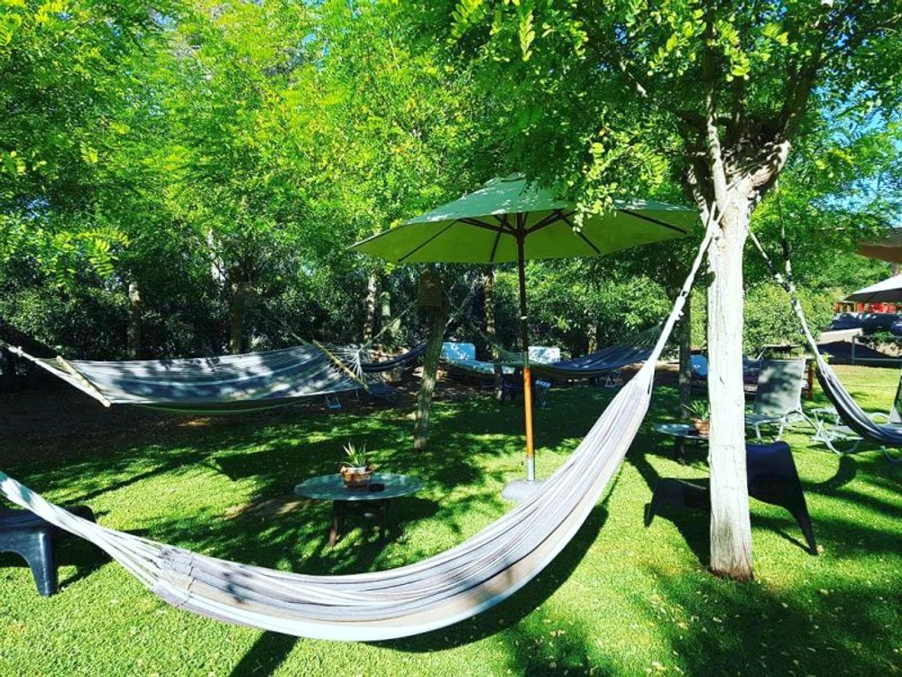 Artista s-a cazat la un hotel cu vegetaţie luxuriantă