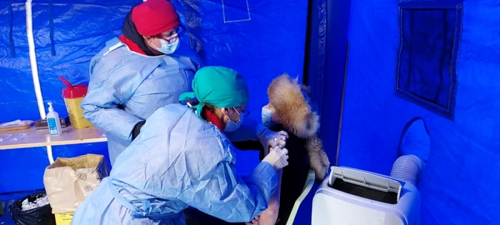 Pacienţii spun că au nevoie de informaţii pe înţelesul lor pentru a fi convinşi că vaccinul îi ajută FOTO: C.F.