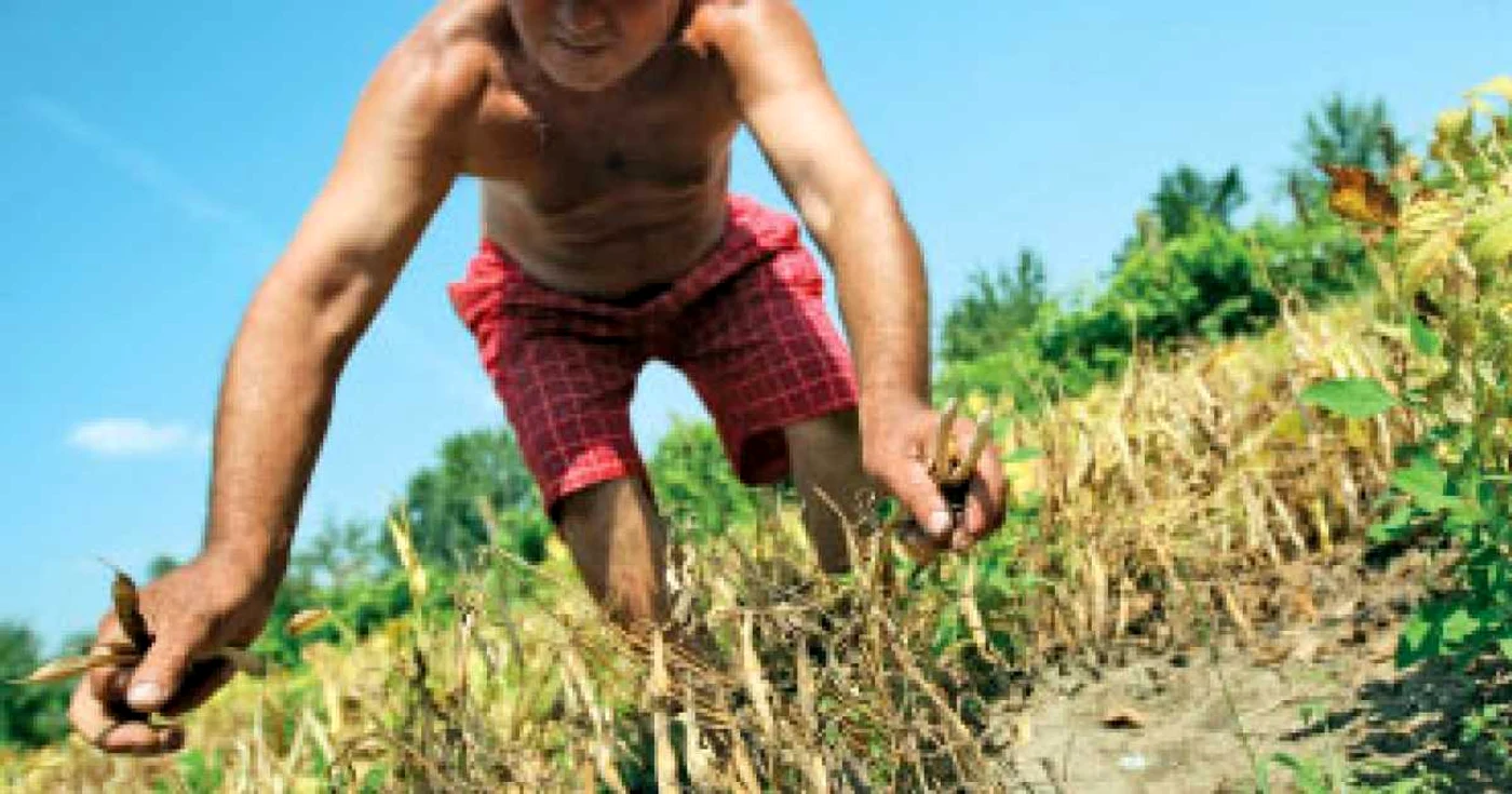 Fonduri UE pentru valoare adăugată în agricultură