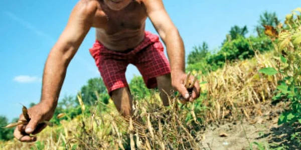 Fonduri UE pentru valoare adăugată în agricultură