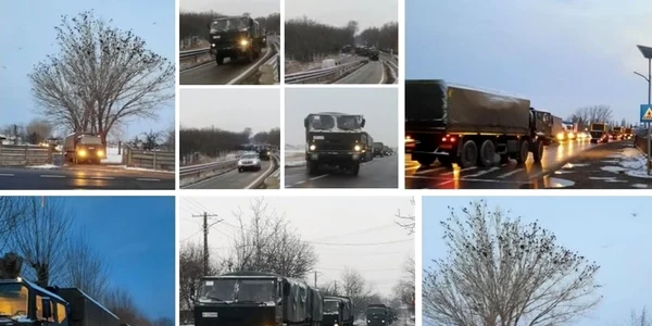 convoaie