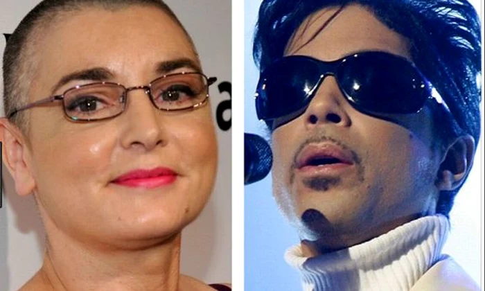 Sinead Prince jpeg
