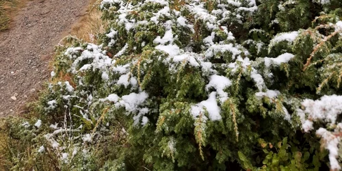 Pentru a evita situaţiile nedorite  pe timpul drumeţiilor în zona de munte