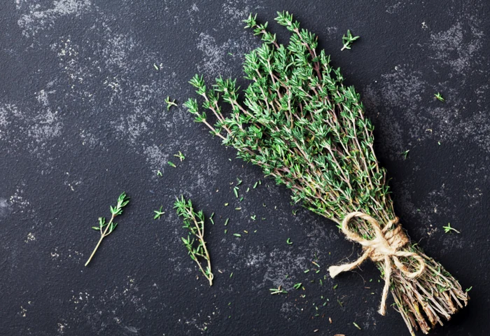 Cimbrul ajută în perioadele de surmenaj fizic și intelectualFoto: Shutterstock