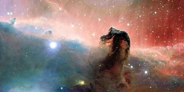cosmos