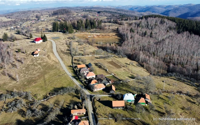 Poiana Răchițelii. Foto: Daniel Guță