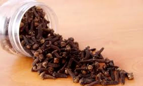cuisoarele antibiotice naturale adevarul ro  jpeg