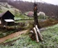 Valea Tatausului Foto Daniel Guță ADEVĂRUL (39) jpg