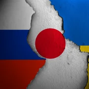 Japonia se alătură mecanismului PURL al Nato FOTO shutterstocK jpg