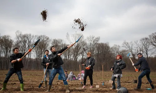 plantare snagov echipa radio 21 foto constantin opris jpeg