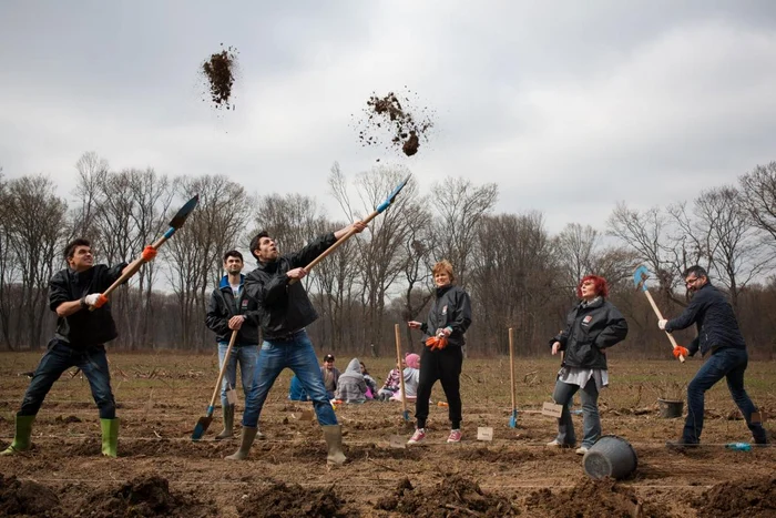 plantare snagov echipa radio 21 foto constantin opris jpeg