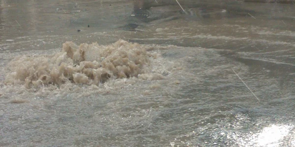 tulcea ploaie 