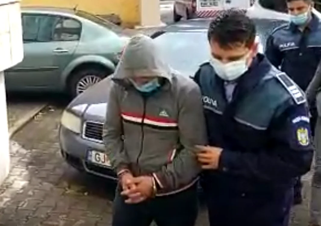 Inculpaţii acuzaţi de tăieri ilegale din păduri şi de afaceri ilegale cu lemne au fost lăsaţi în libertate