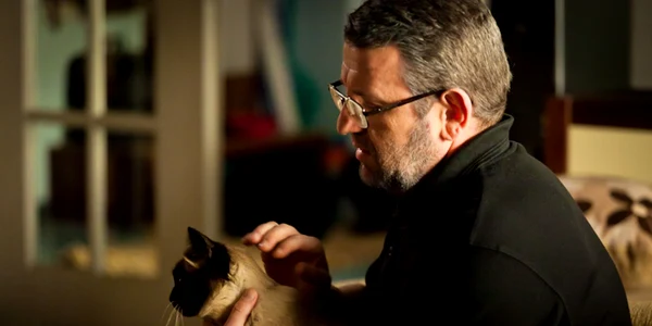 adrian titieni in domestic