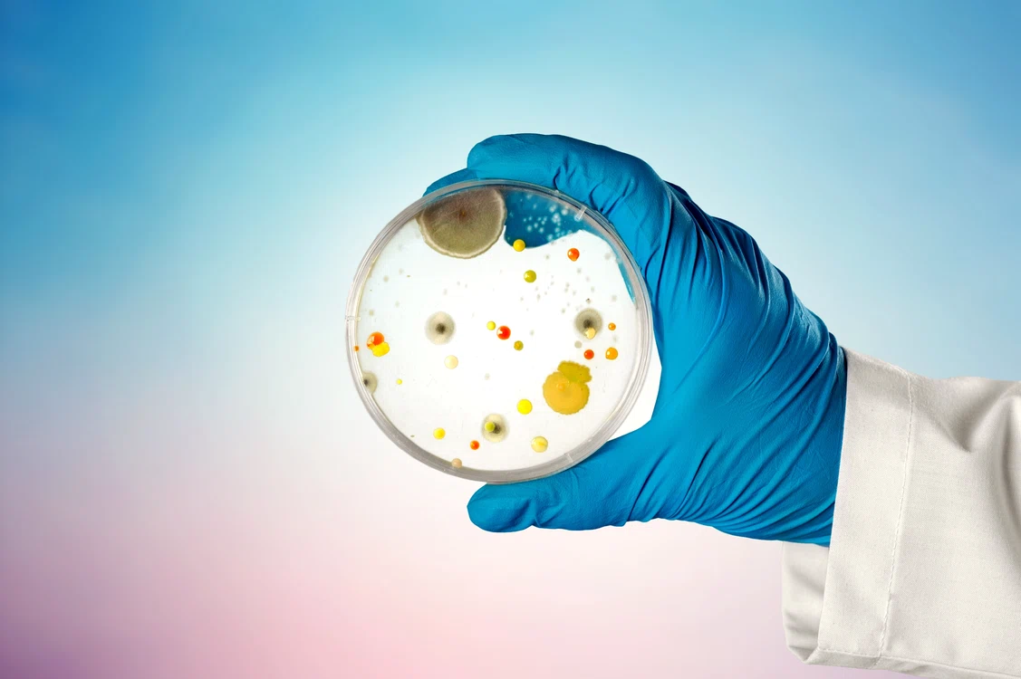 Superbacteriile ar putea ucide milioane de oameni anual FOTO Shutterstock