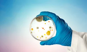 Bacterii_shutterstock 1923502868 (1) jpg
