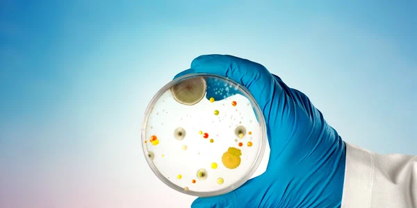 Bacterii_shutterstock 1923502868 (1) jpg