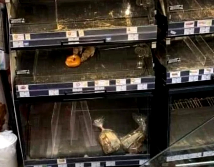 
    Rozătoarele au fost fotografiate mâncând din produsele de panificație expuse pentru vânzareFoto: Facebook  