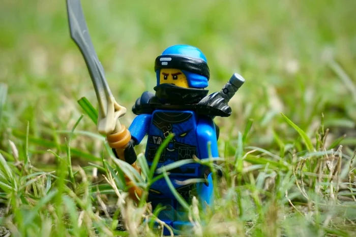 Poză de Sankalp Rajvanshi pe Unsplash.com