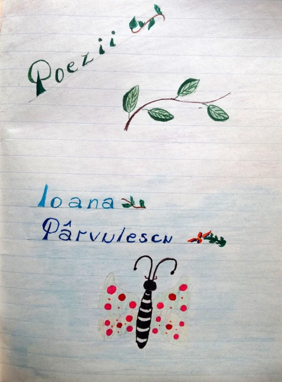 Ioana Parvulescu_Arhiva personală