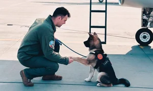 palferent octavian facebook jpg