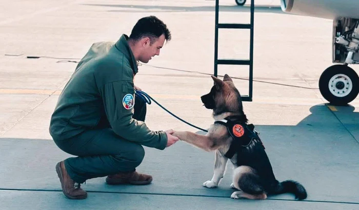 Palferenţ Octavian a murit după ce a încercat să salveze un câine căzut într-un bazin 