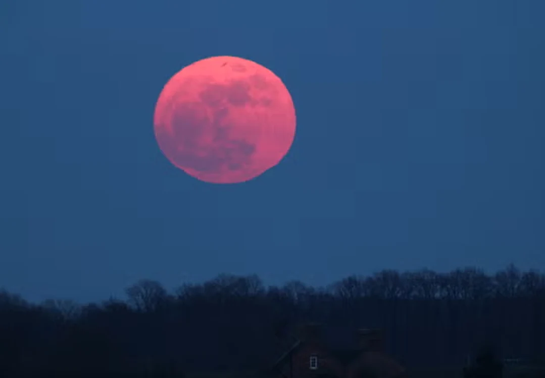 Luna roz va putea fi observată pe 1 aprilie FOTO: X