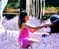 Lavanda 14 jpg