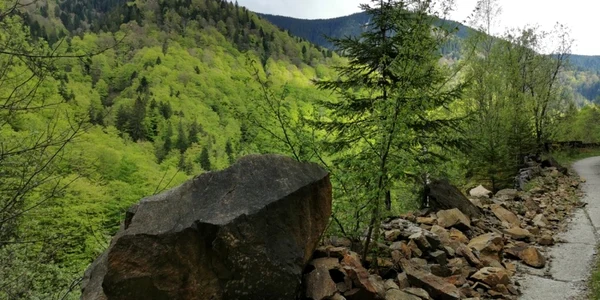 drumul spre lacul gura apelor din retezat foto daniel guta adevarul