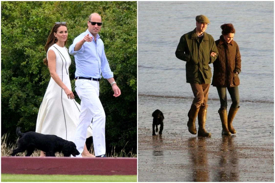Kate, William, cocker jpg
