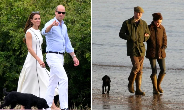 Kate, William, cocker jpg